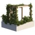 OutDoor plants – 3 Pergola plants set - Thumbnail 1