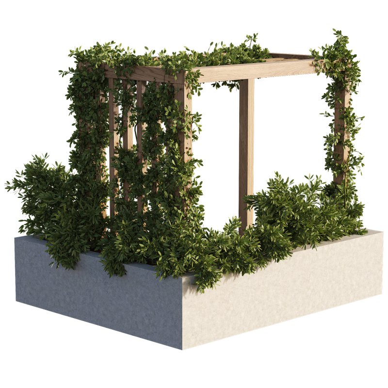 OutDoor plants – 3 Pergola plants set - Image 1