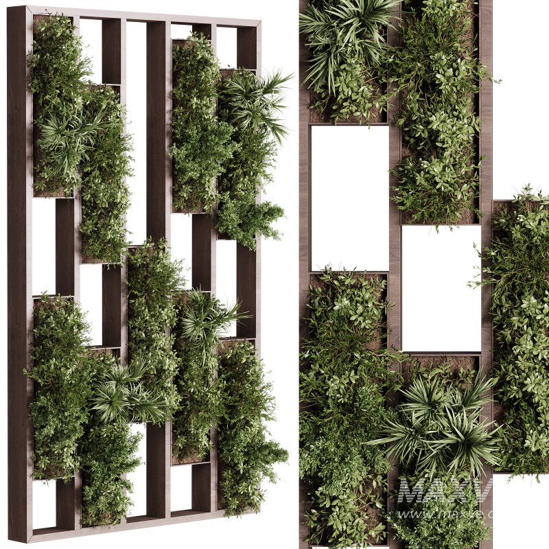 Vertical Garden Partiton plants 03 - Image 10
