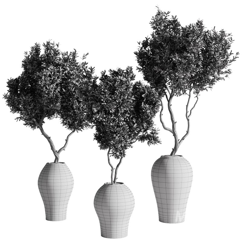 indoor plants – 68 plant in pot - Image 2