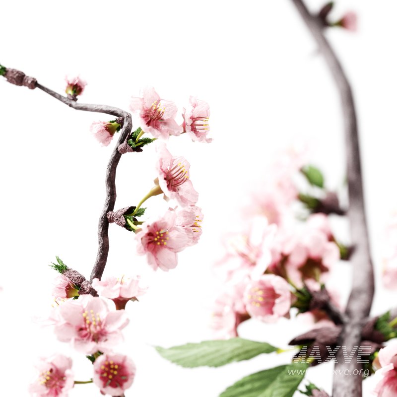 Decorative Bouquet set 33 - Image 2