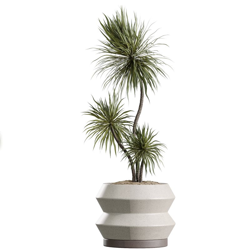 ntal value and botanical origin. Perfect for luxury interiors, modern lobbies, or minimalist environments, this set balances lush volume with sharp sculptural lines. - Image 4