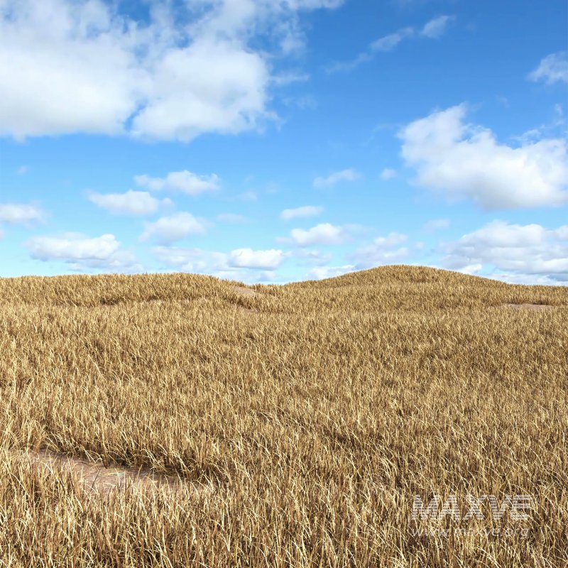 meadow (autumn) - Image 8