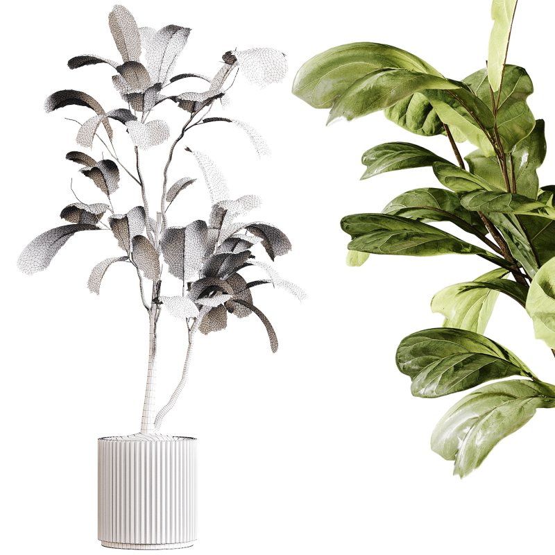 Indoor plants 89 – Plant in pot - Image 1