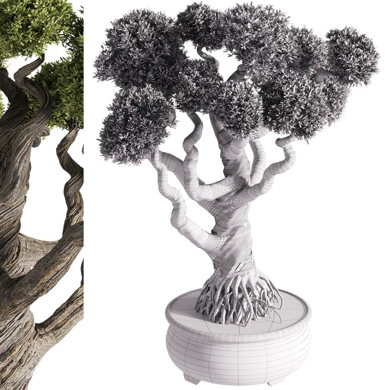 indoor plants – 48 plant in pot - Image 2