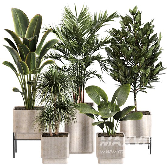 Indoor Plant Set 0157 - Image 1