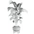 potted plant - Thumbnail 3