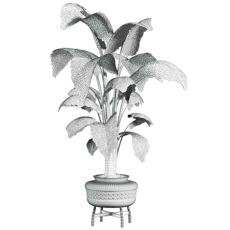 potted plant - Image 3
