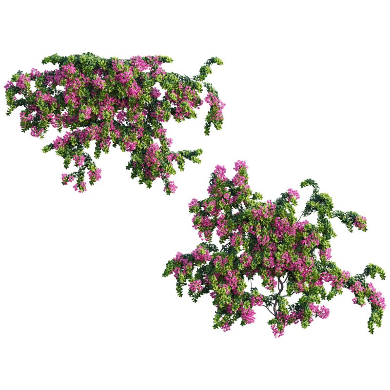 Bougainvillea – Paper Flower 04 - Image 2