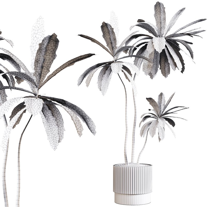 Indoor plants 77 – Plant in pot - Image 1