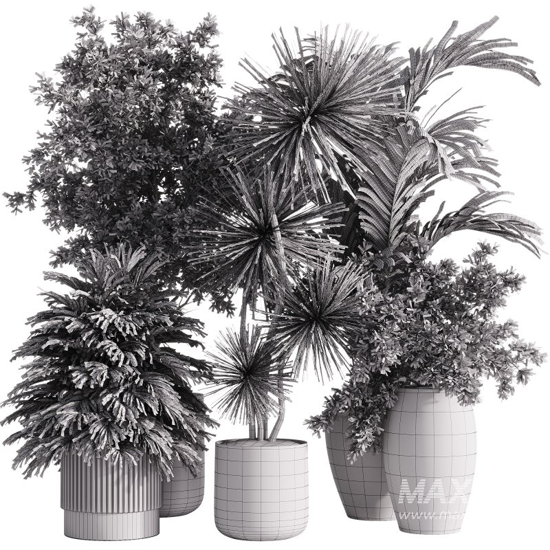 indoor plants – 34 plant collections in pot - Image 2