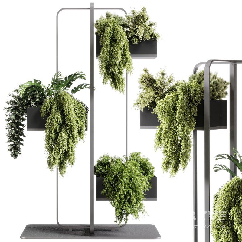 indoor plants – 104 Plant Stand - Image 3
