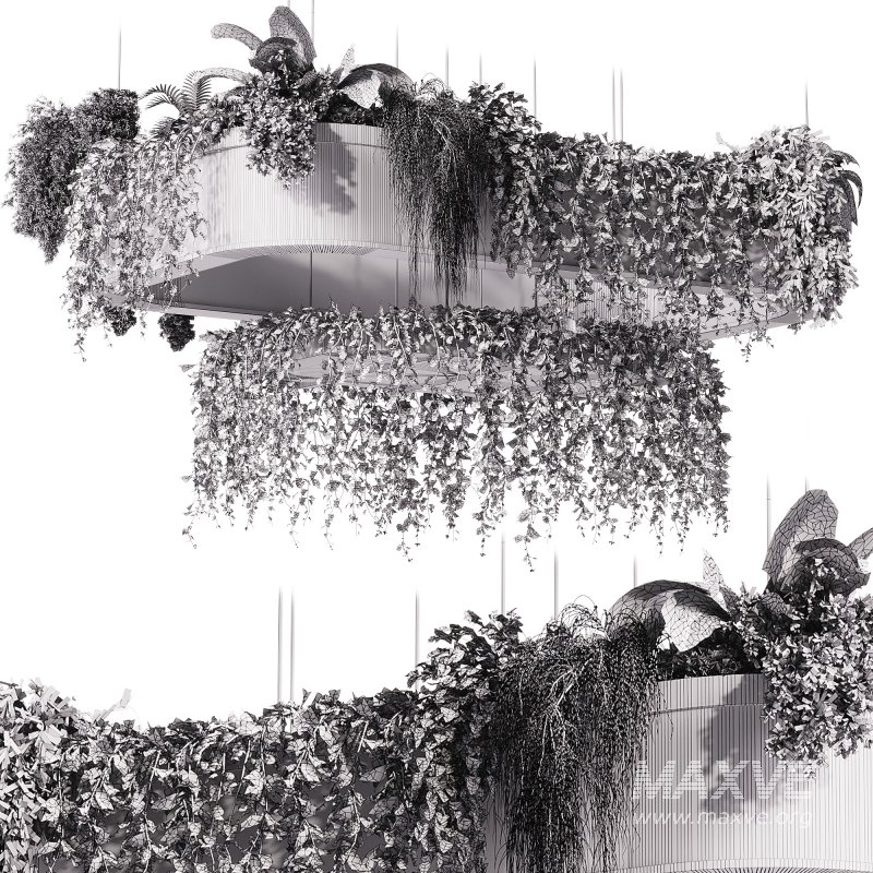 indoor plants – 62 Hanging indoor plant - Image 1