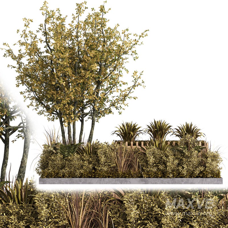 Outdoor Garden plants set in a box - Image 2