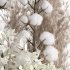 Cotton and pampas bouquet - Thumbnail 1