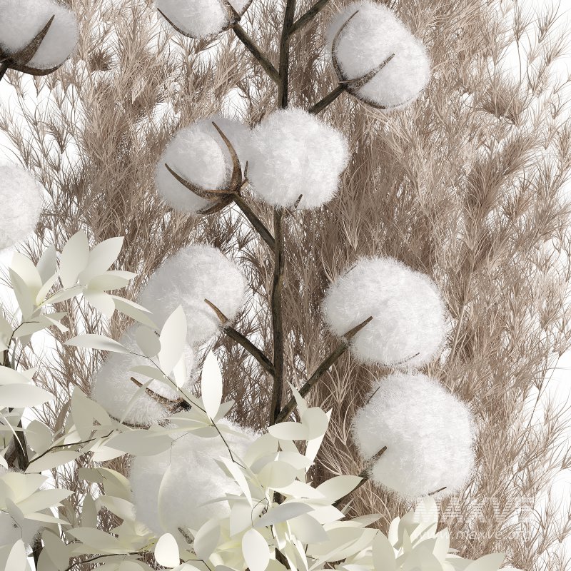 Cotton and pampas bouquet - Image 1