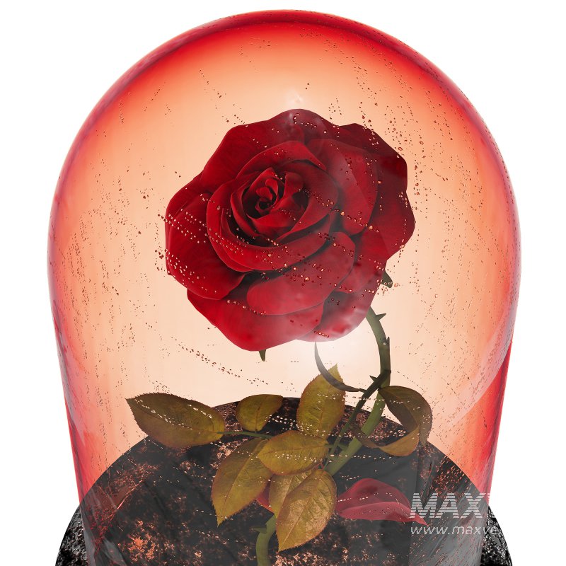 Rose in the movie Beauty and the Beast - Image 7