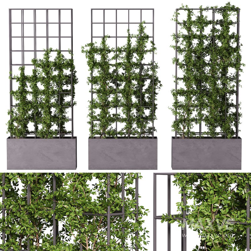 Vertical Garden Partiton plants 05 - Image 4