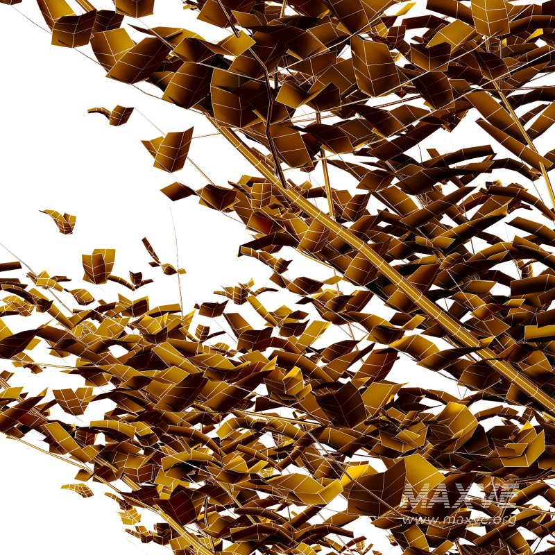 Fagus Grandifolia Tree 11 - Image 3