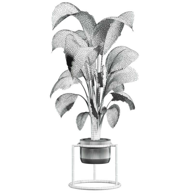 potted plant - Image 4