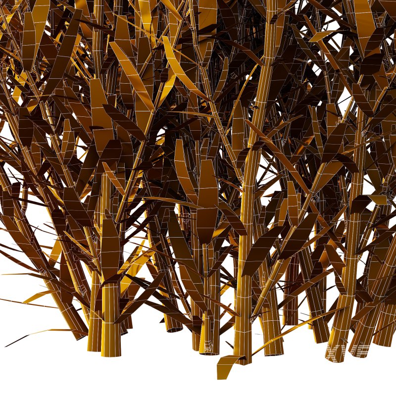 plant Grass Flower Lavandula pedunculata 02 - Image 7