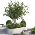 Outdoor Plants – 2 town Square - Thumbnail 4