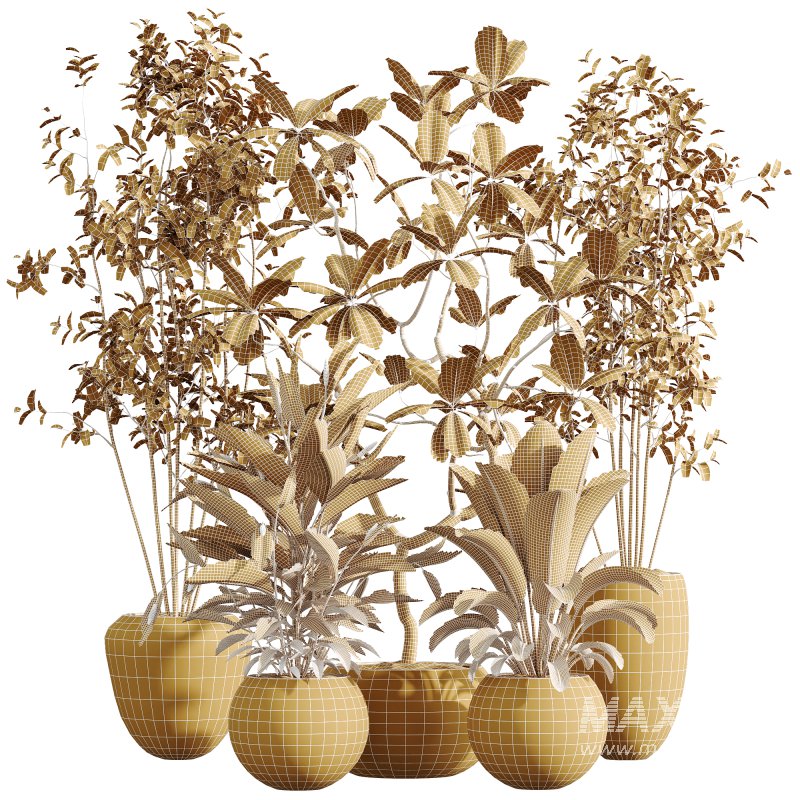 AV Indoor Plants Set 251 Olive Eucalyptus Japandi Ficus Banana Strelitzia Peace Lily - Image 7