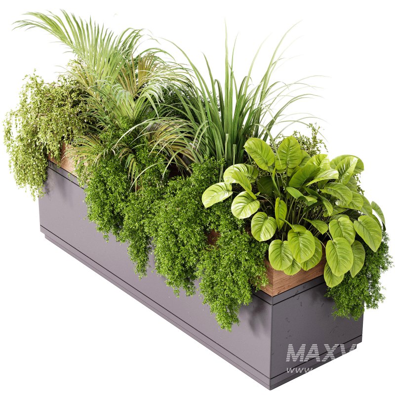 Indoor plant- 20 metall and wooden in box on stand - Image 1