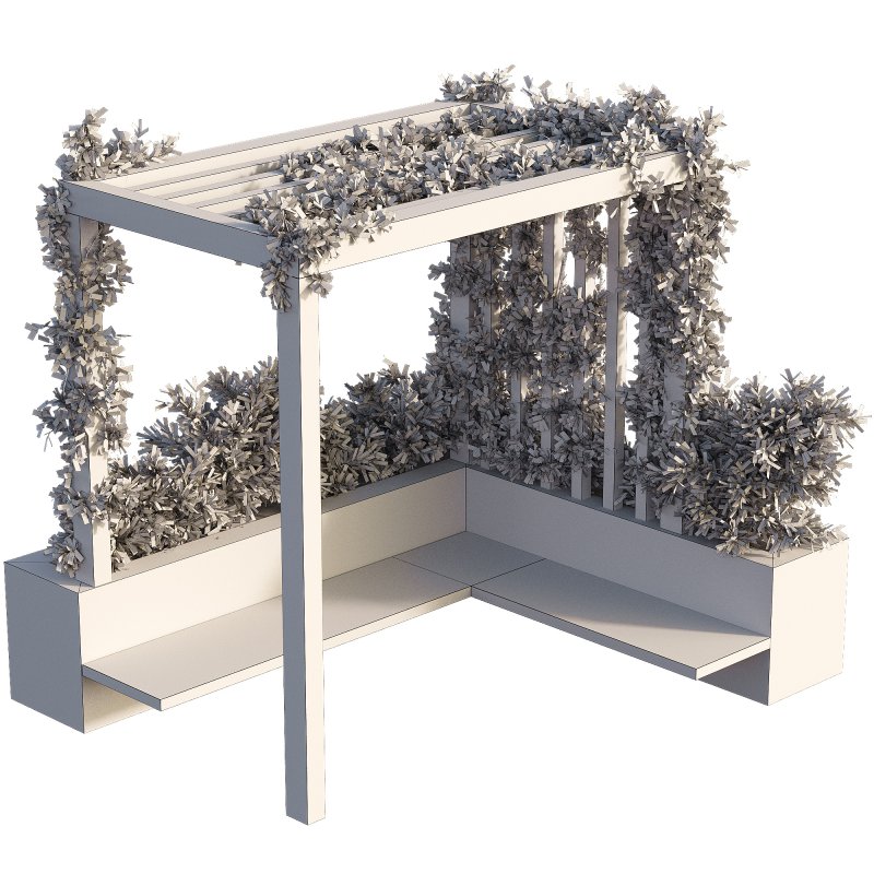 OutDoor plants – 3 Pergola plants set - Image 2