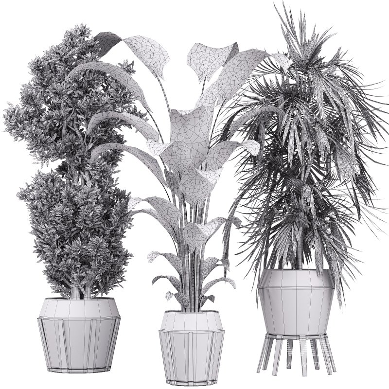 Indoor collection plants set 03 - Image 4