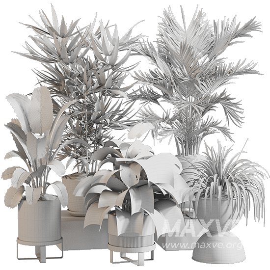 Indoor Plant Set 0158 - Image 5