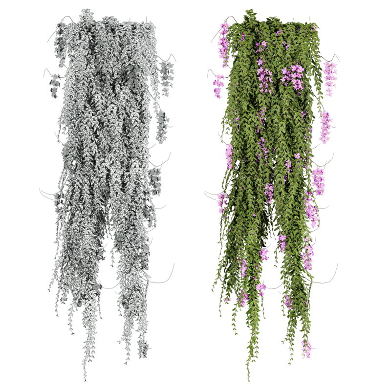 ivy plants - Image 3