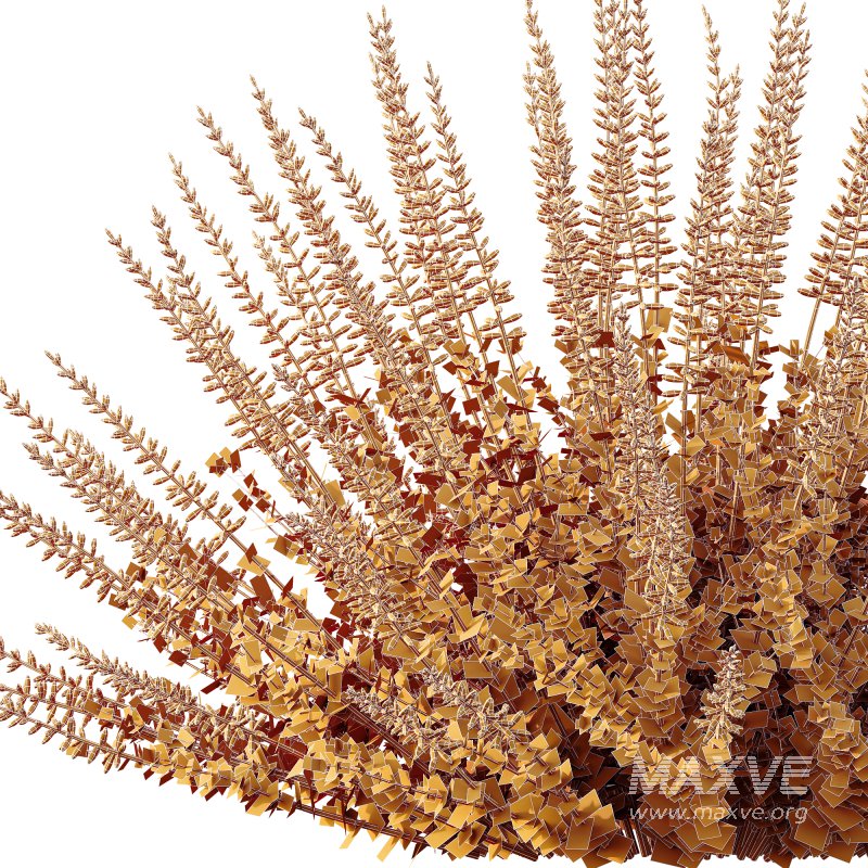 AV Plant Calluna Vulgaris Helena Summer Broom Heather Garden Girls01 - Image 4