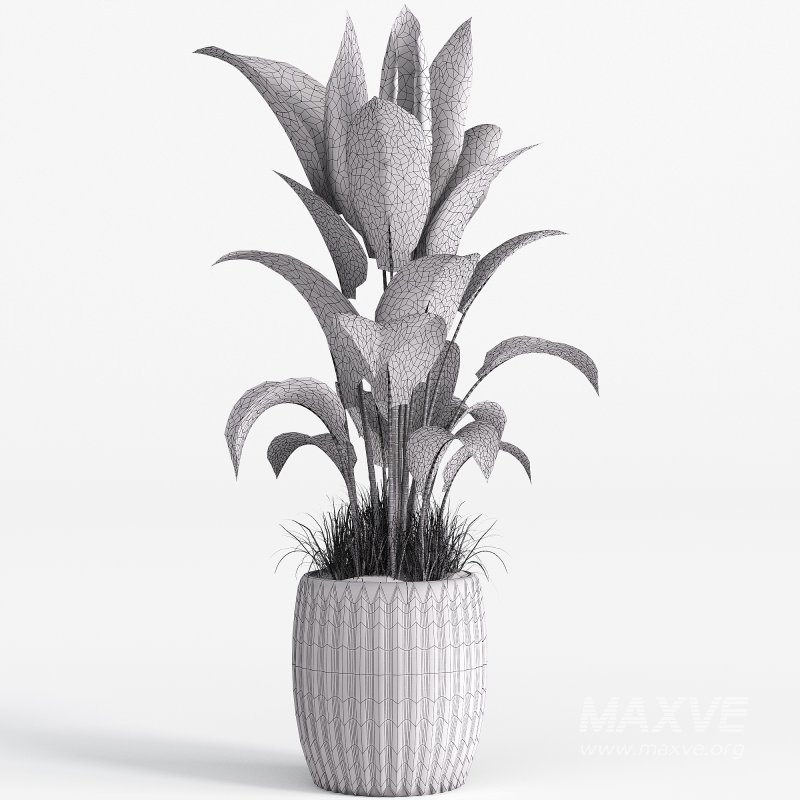 Indoor plant set 04 - Image 2