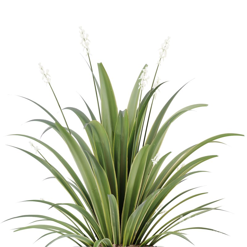 AV Indoor Plants Set 249 - Image 2