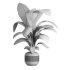 indoor plant 041 - Thumbnail 4