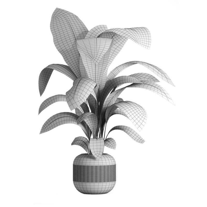 indoor plant 041 - Image 4