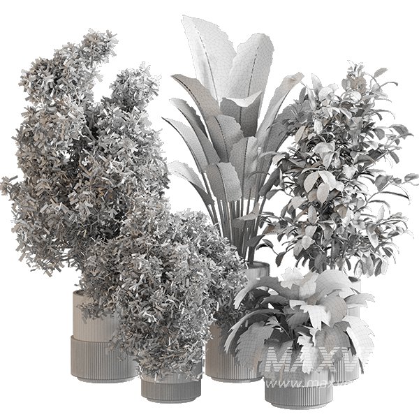 Indoor Plant Set 0154 - Image 5