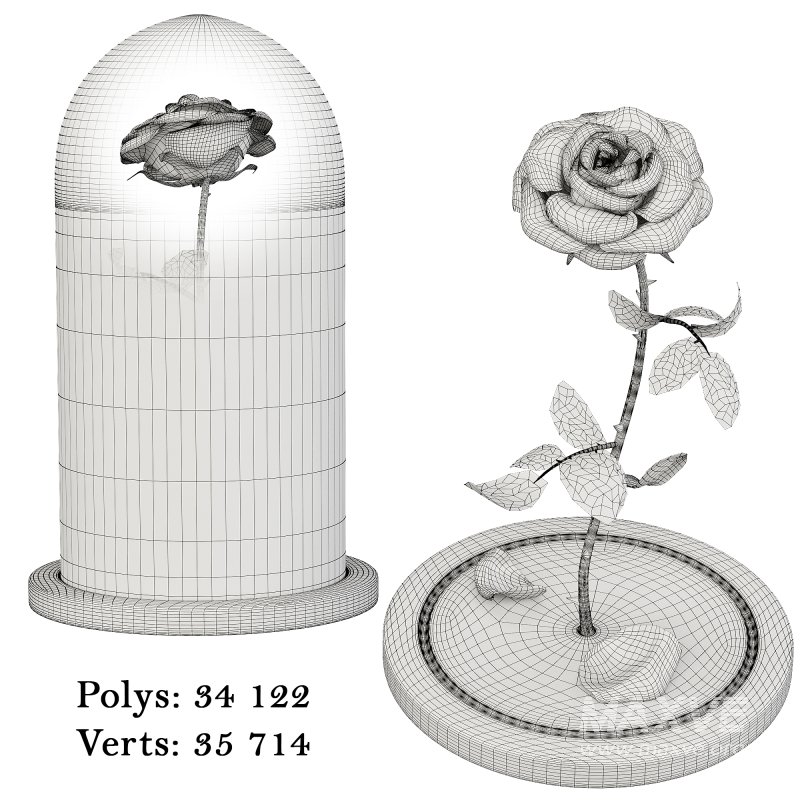 Rose in the movie Beauty and the Beast - Image 6