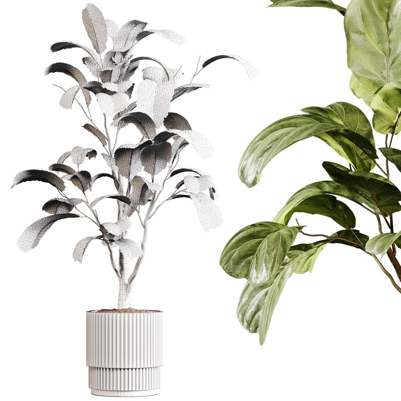 Indoor plants 88 – Plant in pot - Image 2