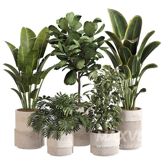 Indoor Plant Set 0159 - Image 1