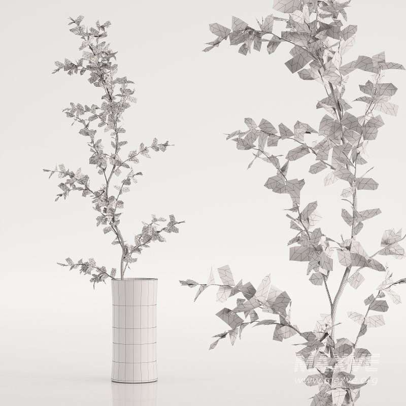 Plants bouquet set 17 - Image 1