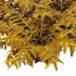 Macrothelypteris torresiana Fern bush 03 - Thumbnail 4