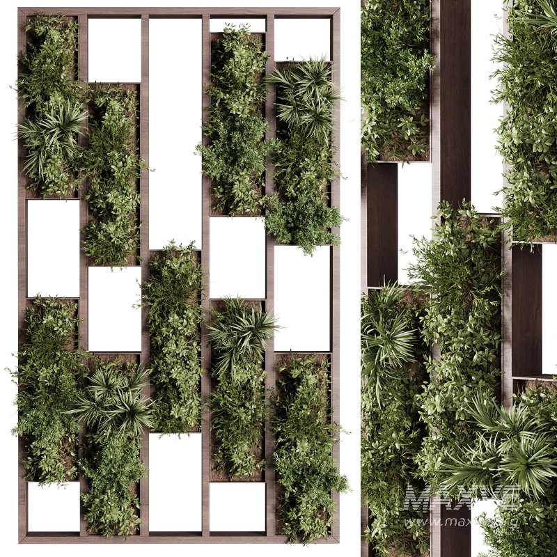 Vertical Garden Partiton plants 03 - Image 1