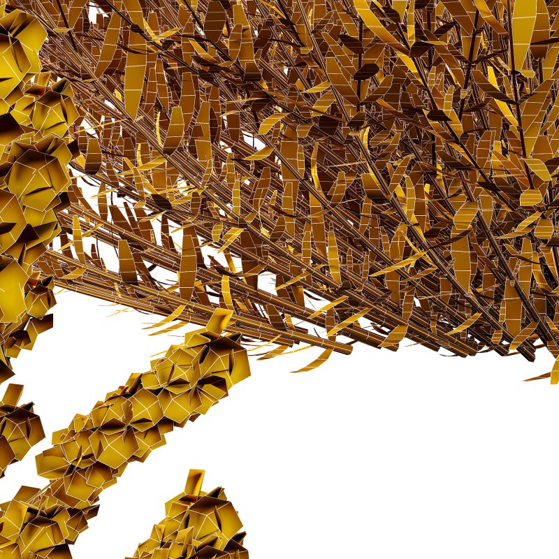 plant bush Flower Lavandula pedunculata 03 - Image 7