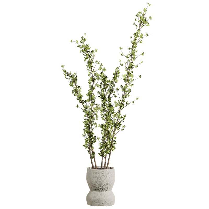 potted plants - Image 3