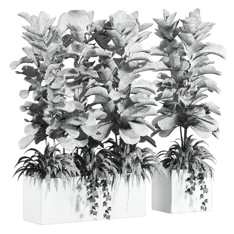 plants - Image 4