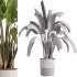 indoor plants – 37 plant in pot_corona - Thumbnail 1