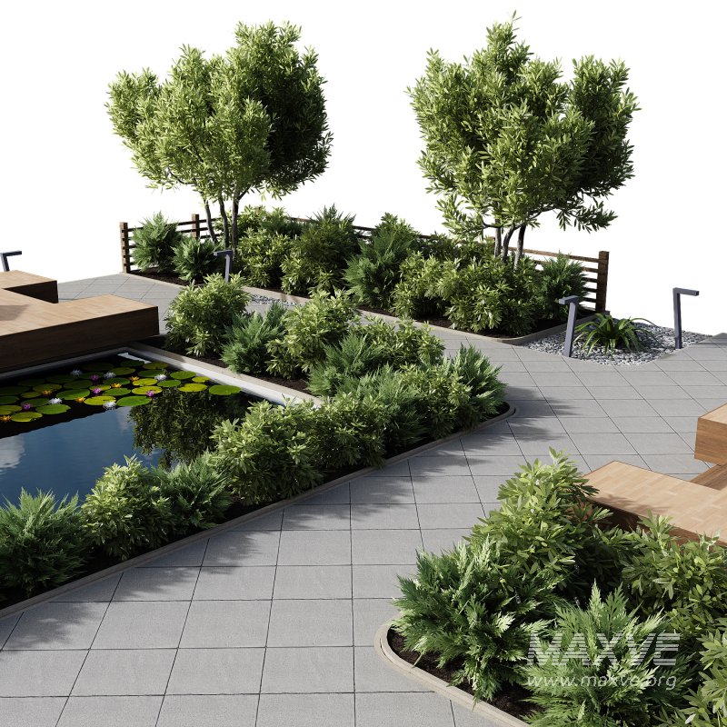 Outdoor Plants – town Square 2 - Image 4