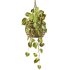 hanging plants set - Thumbnail 3